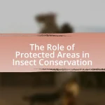 The Role of Protected Areas in Insect Conservation