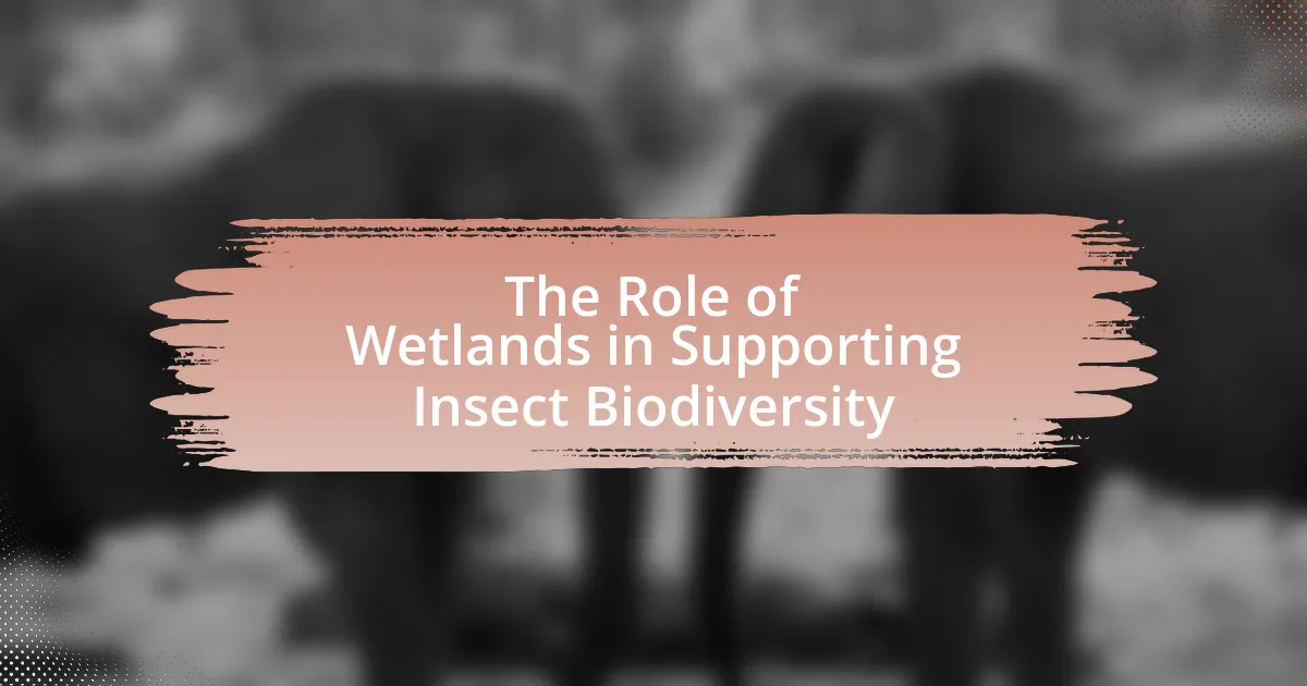 The Role of Wetlands in Supporting Insect Biodiversity