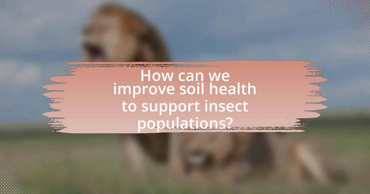 How can we improve soil health to support insect populations?