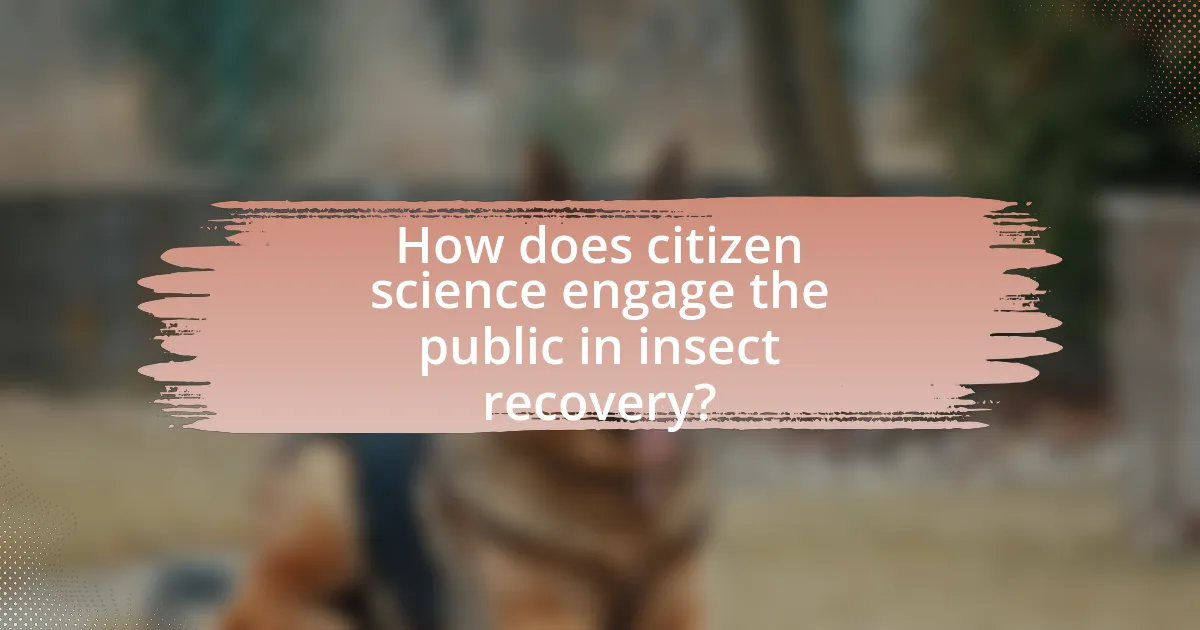 How does citizen science engage the public in insect recovery?