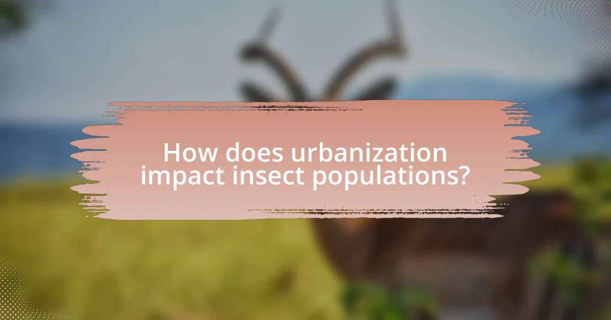 How does urbanization impact insect populations?