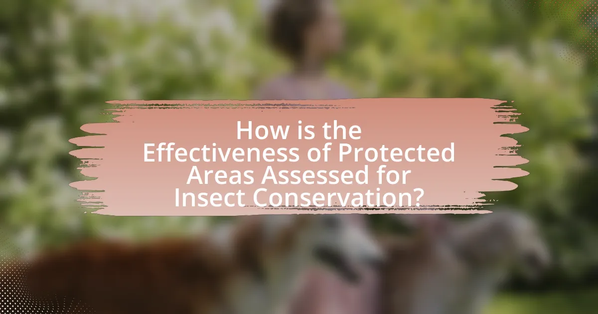 How is the Effectiveness of Protected Areas Assessed for Insect Conservation?