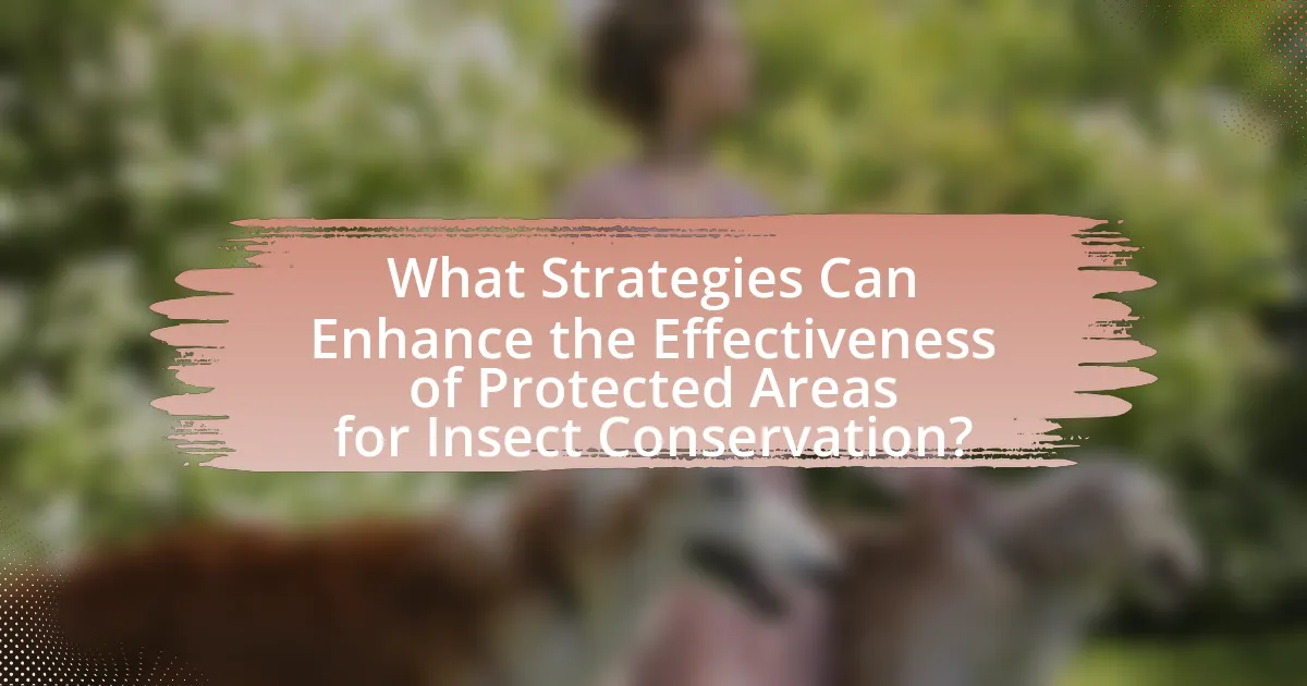 What Strategies Can Enhance the Effectiveness of Protected Areas for Insect Conservation?