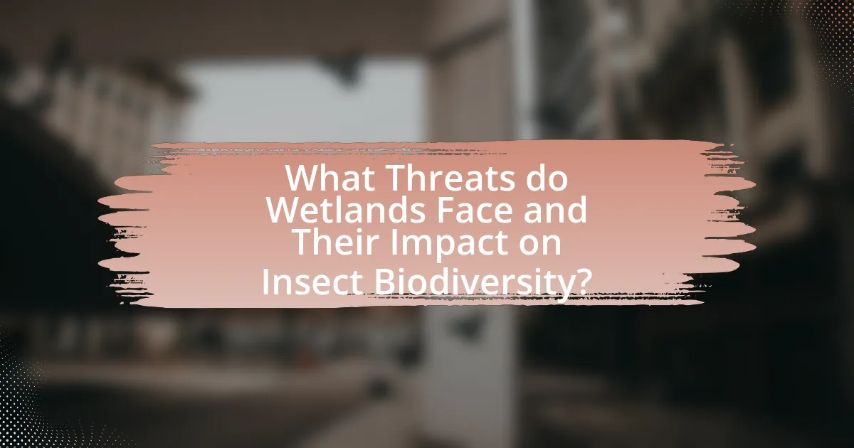 What Threats do Wetlands Face and Their Impact on Insect Biodiversity?