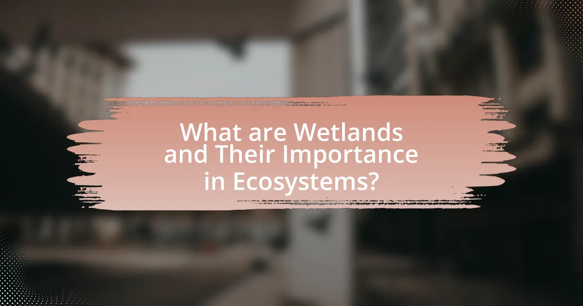 What are Wetlands and Their Importance in Ecosystems?