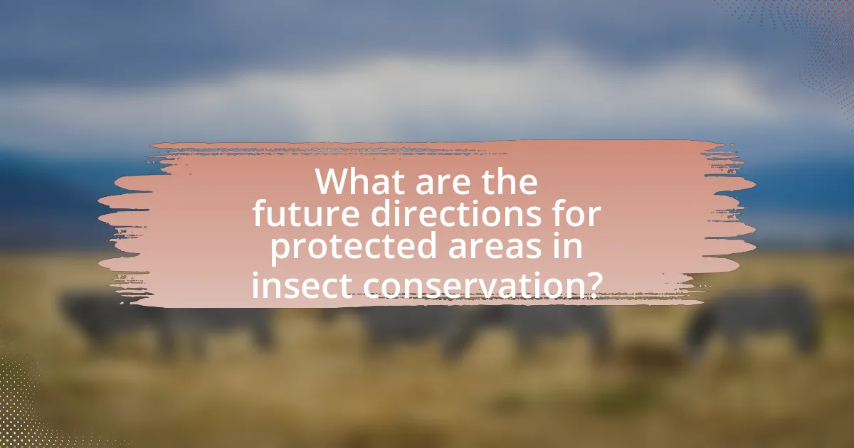 What are the future directions for protected areas in insect conservation?