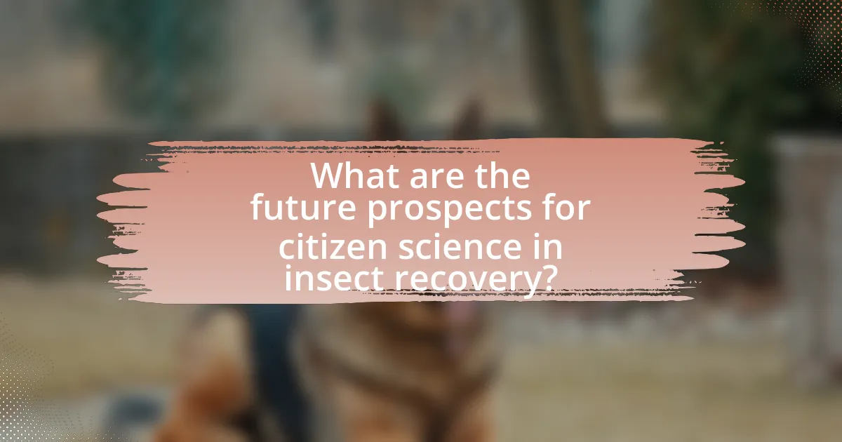 What are the future prospects for citizen science in insect recovery?