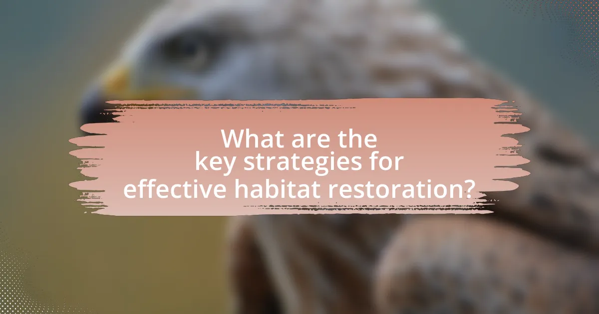 What are the key strategies for effective habitat restoration?