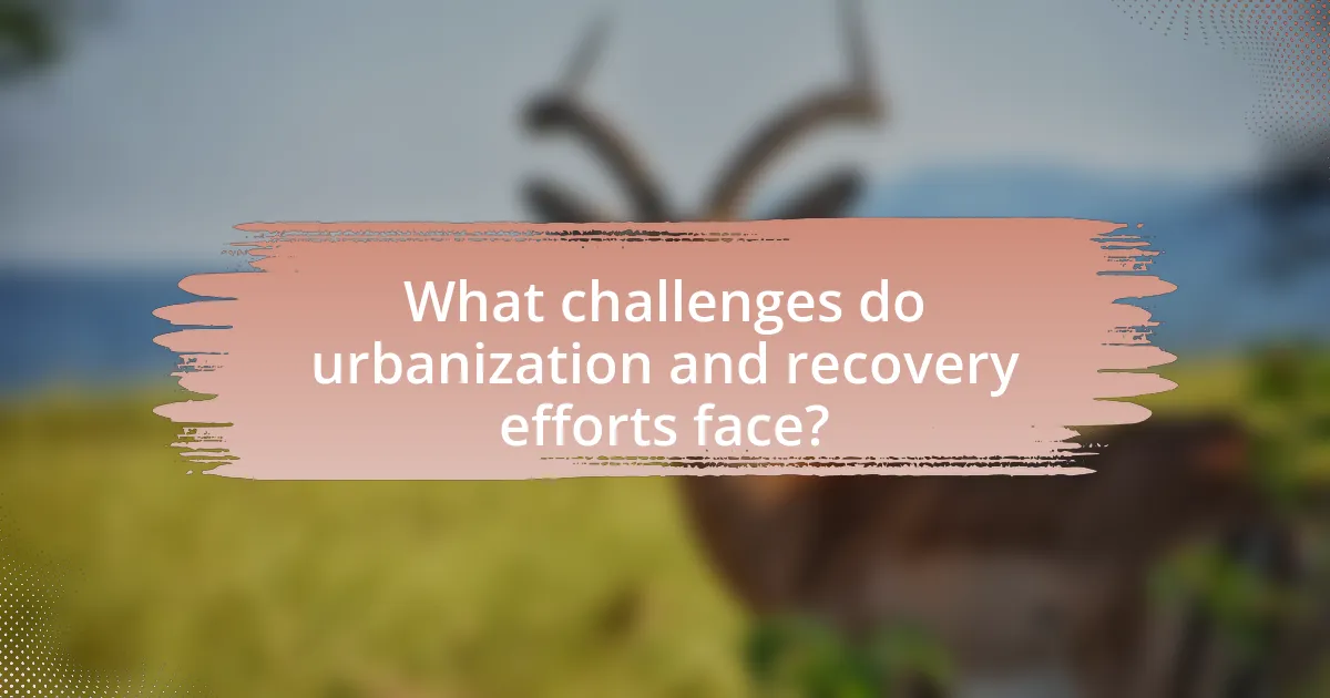 What challenges do urbanization and recovery efforts face?