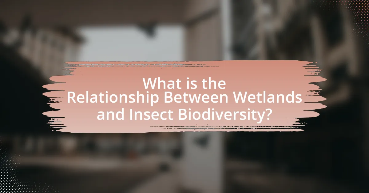 What is the Relationship Between Wetlands and Insect Biodiversity?