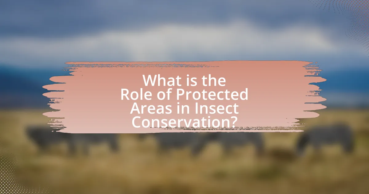 What is the Role of Protected Areas in Insect Conservation?