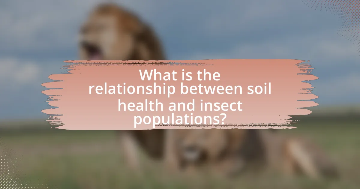 What is the relationship between soil health and insect populations?