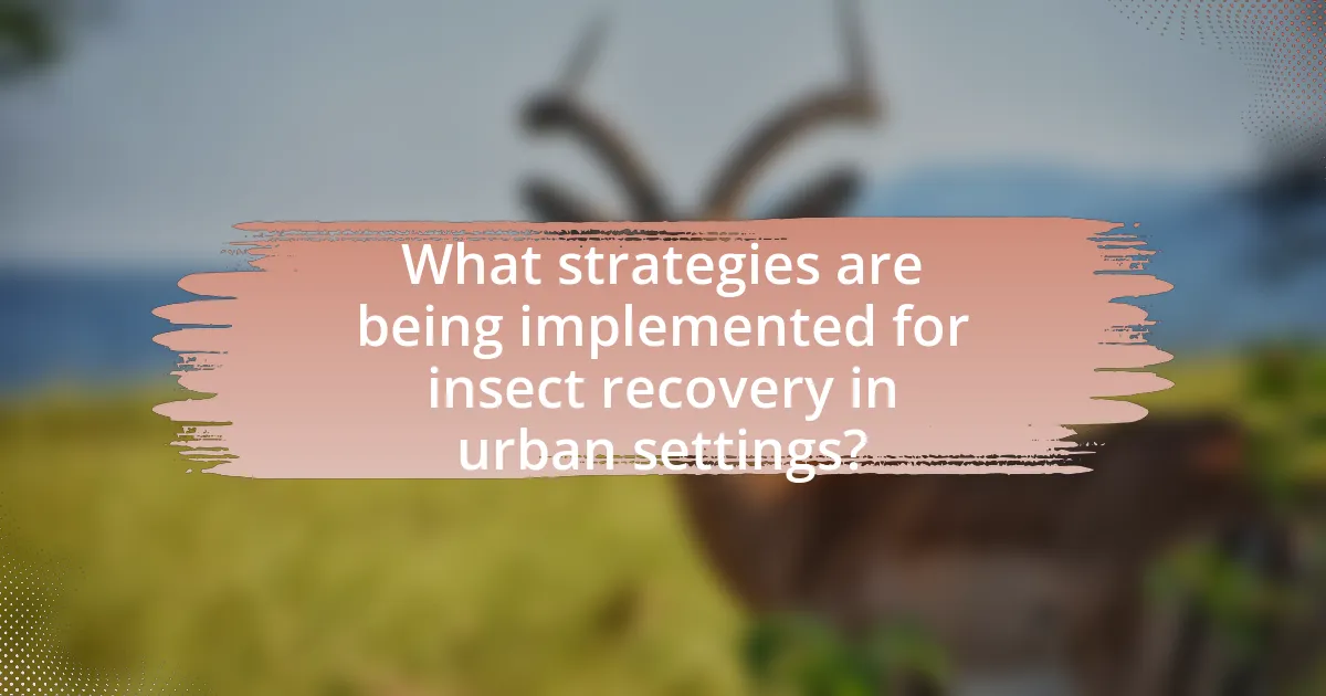 What strategies are being implemented for insect recovery in urban settings?