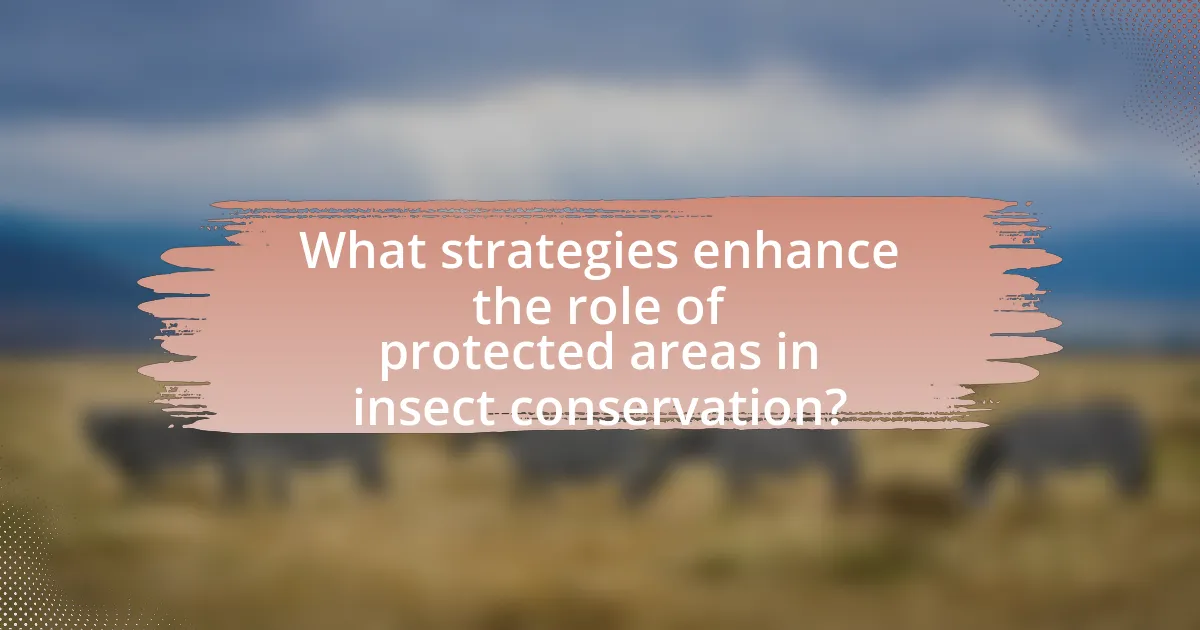What strategies enhance the role of protected areas in insect conservation?